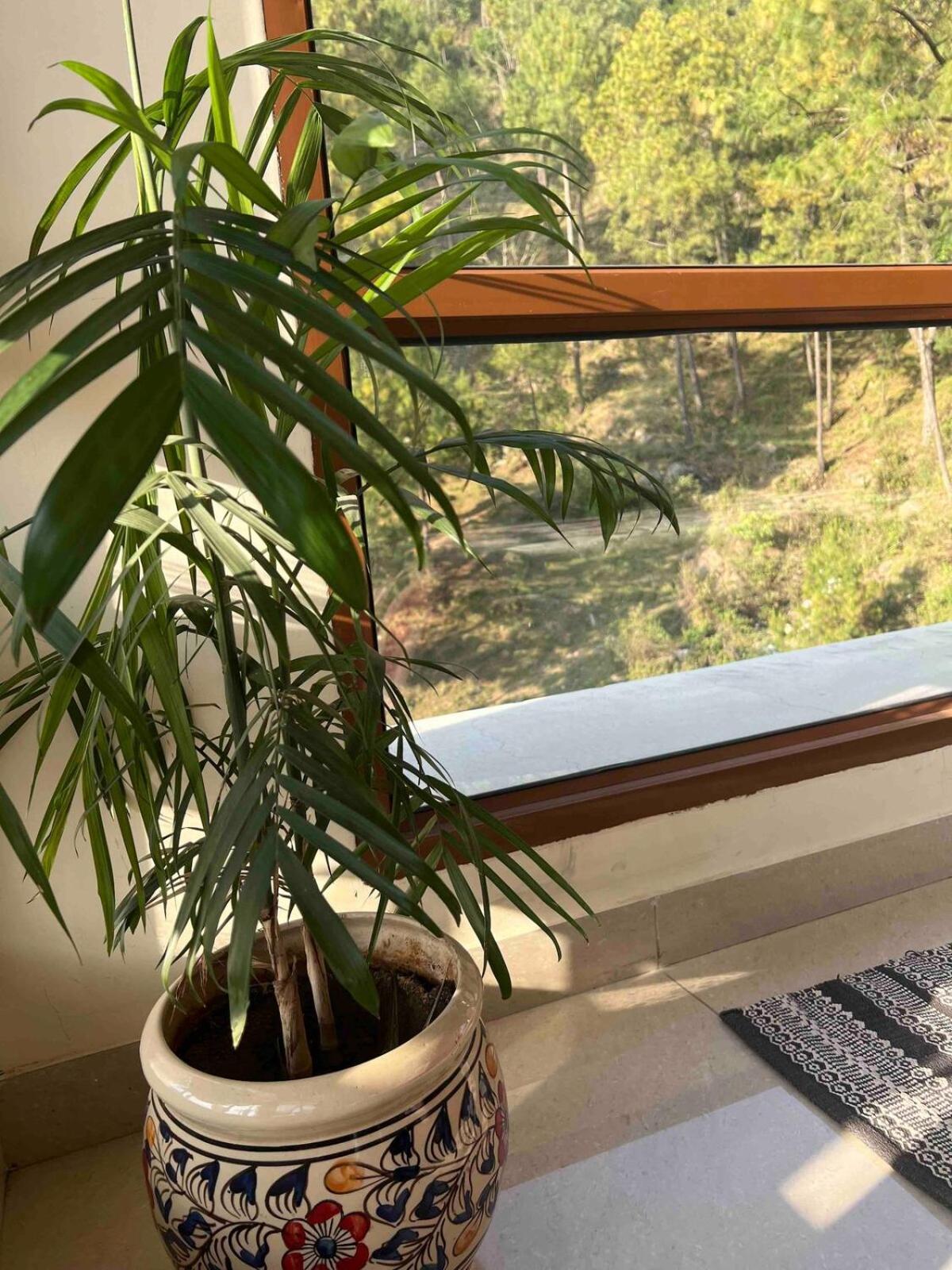 2Bhk Furnished Apartment/Near Kasauli/Barog/Luv Fun & Adventure Solan Ngoại thất bức ảnh
