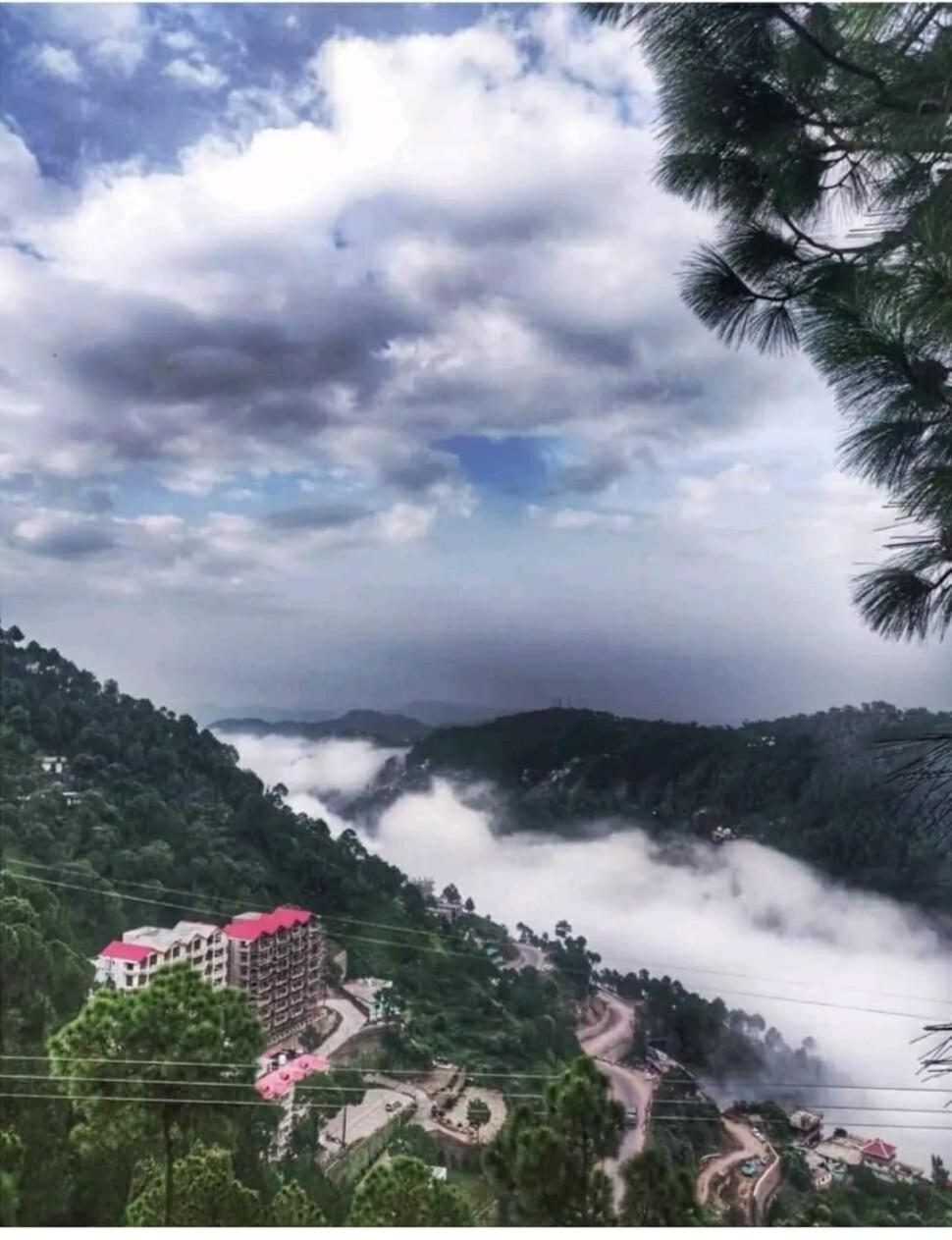 2Bhk Furnished Apartment/Near Kasauli/Barog/Luv Fun & Adventure Solan Ngoại thất bức ảnh