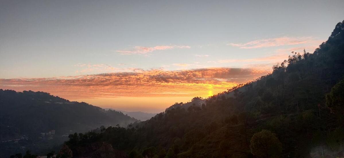 2Bhk Furnished Apartment/Near Kasauli/Barog/Luv Fun & Adventure Solan Ngoại thất bức ảnh