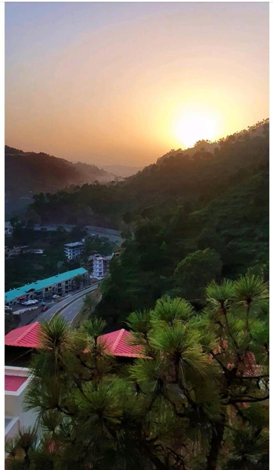2Bhk Furnished Apartment/Near Kasauli/Barog/Luv Fun & Adventure Solan Ngoại thất bức ảnh